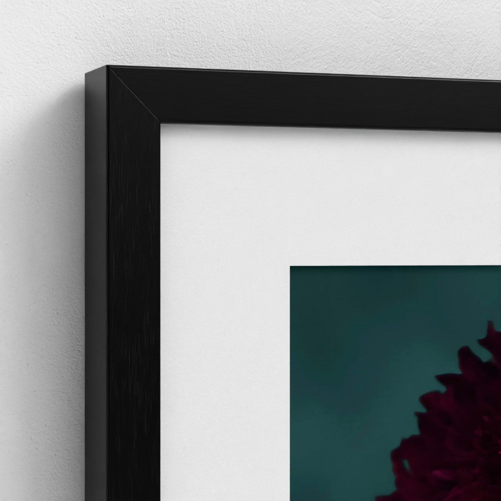 Floral Elegance