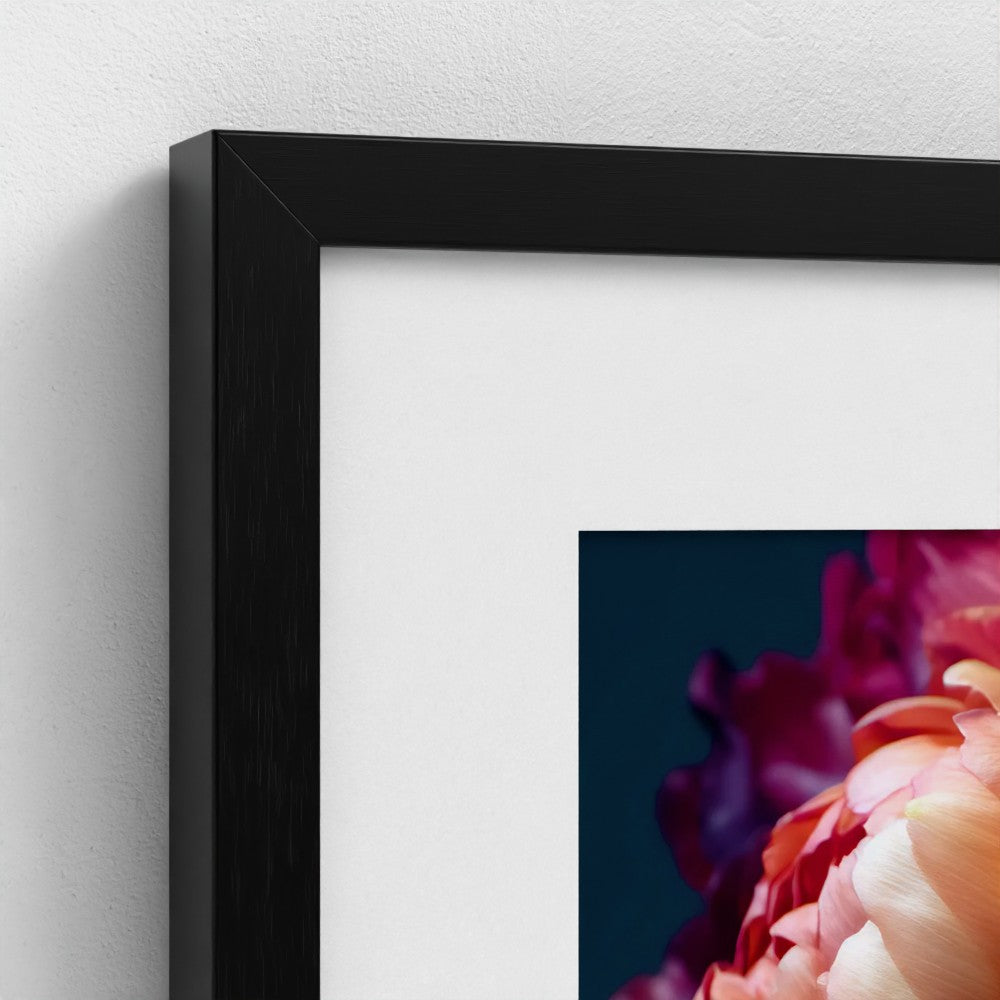 Petal & Profile